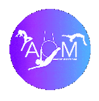 Academy Of Movement Sticker
