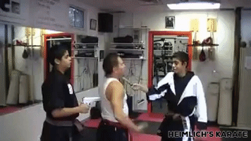 Karate GIF