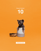 200.gif?cid=fc005b08a4a36bdcb4b91a8fbb3c14c960190ea9fa81e3b1&rid=200.gif&ct=g
