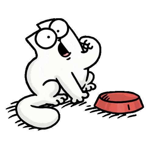 simon's cat food bowl