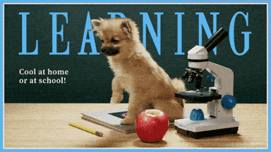 Learn Back To School GIF by Originals