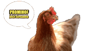 Chicken Rtl2 Sticker by RTLZWEI