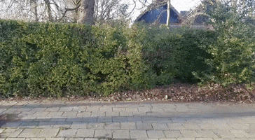bicycle stealing GIF by VR-Innovations
