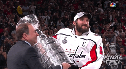 Stanley Cup Championships GIFs