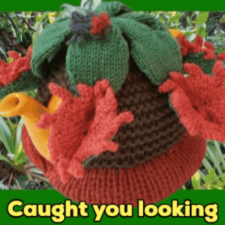 Looking Plant Life GIF by TeaCosyFolk