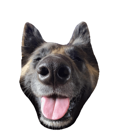Happy Dog Sticker