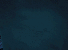 Wip 35Mm GIF