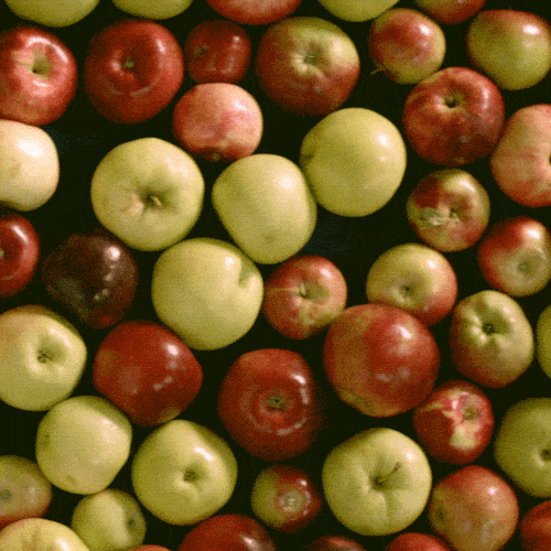 Яблоко или груша