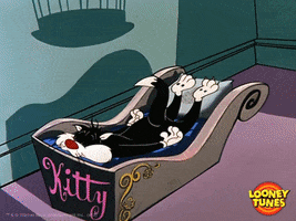 Cartoon gif. Sylvester from Looney Tunes lies face down in his bed backward, with his feet on his pillow. He opens his eyes, which are pained and bloodshot, and then sits up, looking sleep-deprived and stressed.