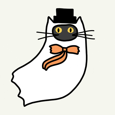 cat ghost GIF by Ivo Adventures