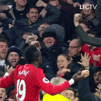 premier league lfc GIF by Liverpool FC