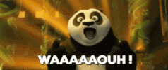 Kung Fu Panda Reaction GIF