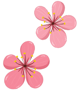 Cherry Blossom Festival Sticker by ORiental TRaffic Hong Kong