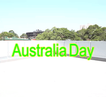 survival day GIF by ABC Indigenous
