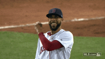 Happy Red Sox GIF by MLB