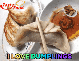 dumplings tastyfood GIF by Gifs Lab