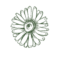 Sticker by Filful