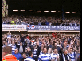 jumping sheffield wednesday GIF by QPR FC