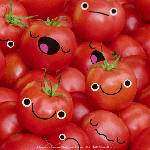 tomato timer gif