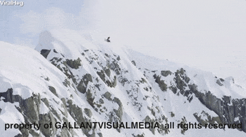 skiing GIF by ViralHog