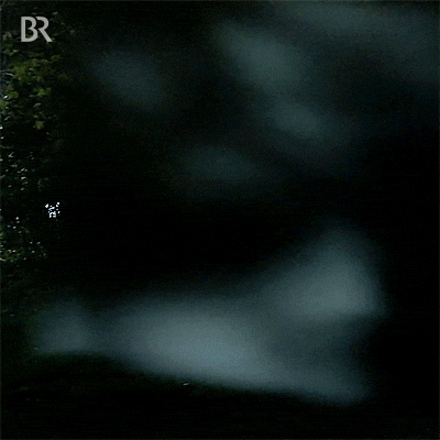 giphy.gif?cid=6c09b952mpsv9ek66c2fdl3wdv