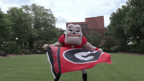 Georgia Bulldogs GIFs - Get the best GIF on GIPHY