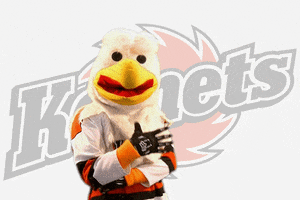 you are right deal  with it GIF by Fort Wayne Komets