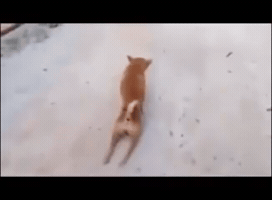 Fingindo Estar Doente GIF