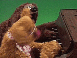 muppetwiki piano muppets the muppet show fozzie bear GIF
