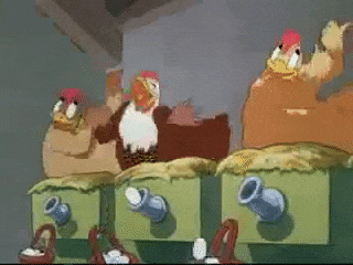 Chicken Eggs GIFs - Find & Share on GIPHY