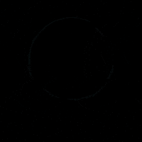 Social Media Photography GIF by WSF Creative