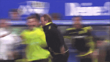 ziggy_iggy_lou klopp GIF