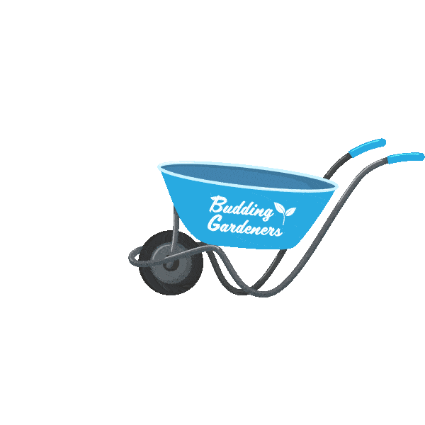 Woodie's Ireland Sticker