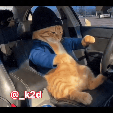 ميمز GIF