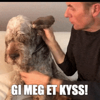 bruno kiss GIF by tv2norge