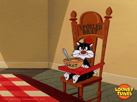 cat no GIF by Looney Tunes