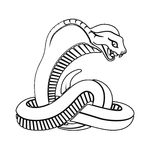 Dj Snake Sticker by Cobra Arcade Bar