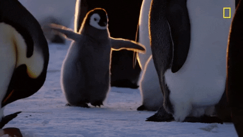 Nat Geo Hostile Planet Gif By National Geographic Channel Find Share On Giphy