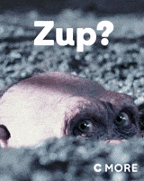 planet of the apes bad ape GIF by TV4