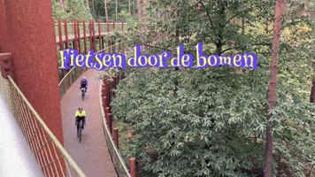 Fietsen Door De Bomen GIF