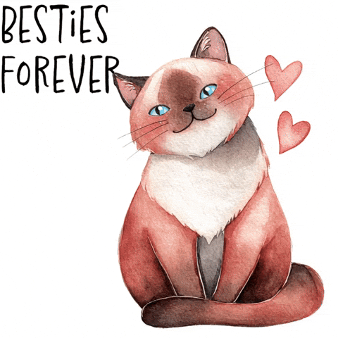 Cat Love GIF