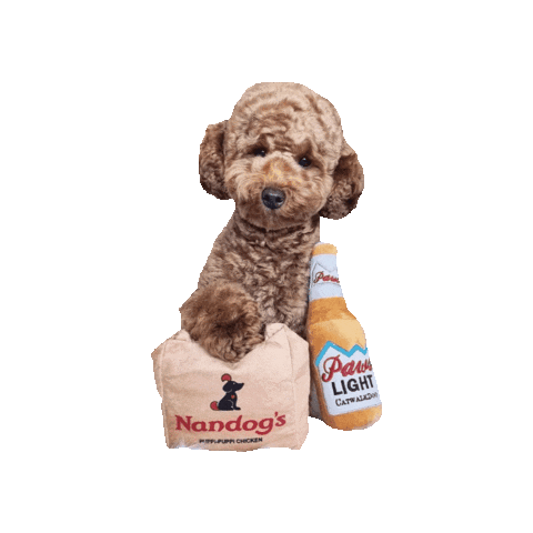 Dog Beer Sticker by victoriacatwalkdog