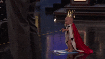 royal baby GIF by Team Coco