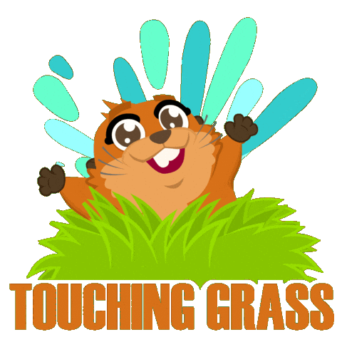 Piper Curda Comedy Sticker by Disney Pixar