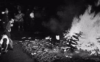 Burning Books GIF