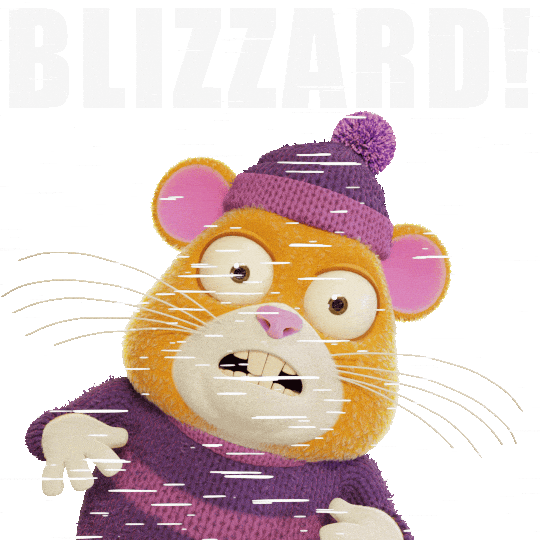 Freezing Snow Day Sticker by Grind