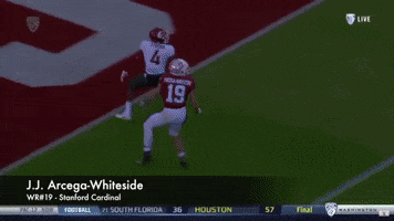 Jj Arcega-Whiteside Stanford GIF
