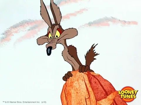 Wile E Coyote Wtf GIF by Looney Tunes