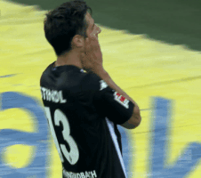 die fohlen GIF by Borussia Mönchengladbach
