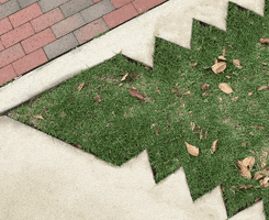 uf gators GIF by University of Florida